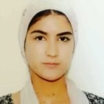 Дар Рашт ҷаласаи комиссияи корӣ оид ба истифодаи неруи барқ доир гардид